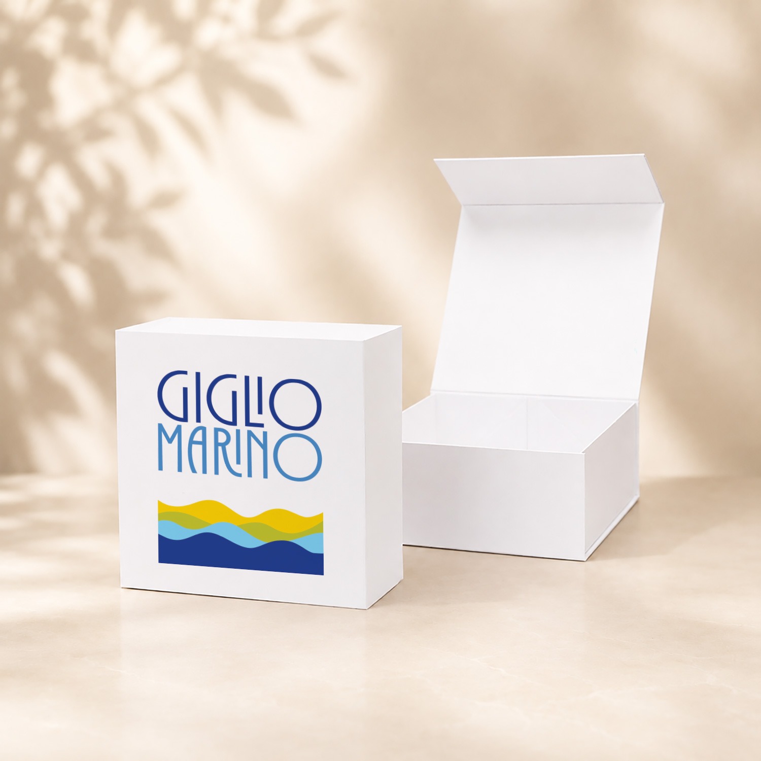 Scatola elegante con chiusura magnetica 